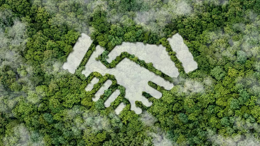 floresta com formato de símbolo de mãos se cumprimentando